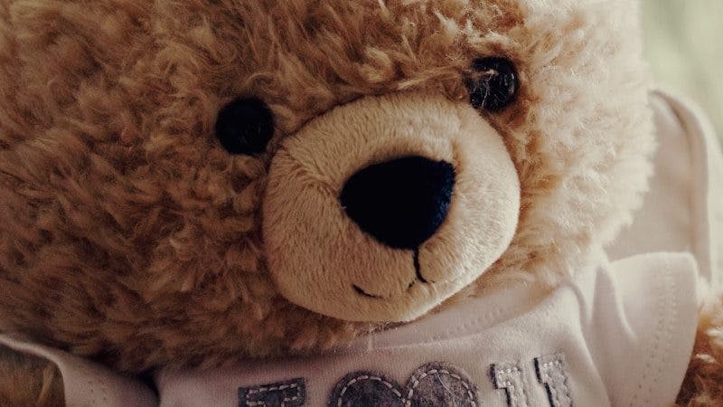 brown bear plush toy in white shirt