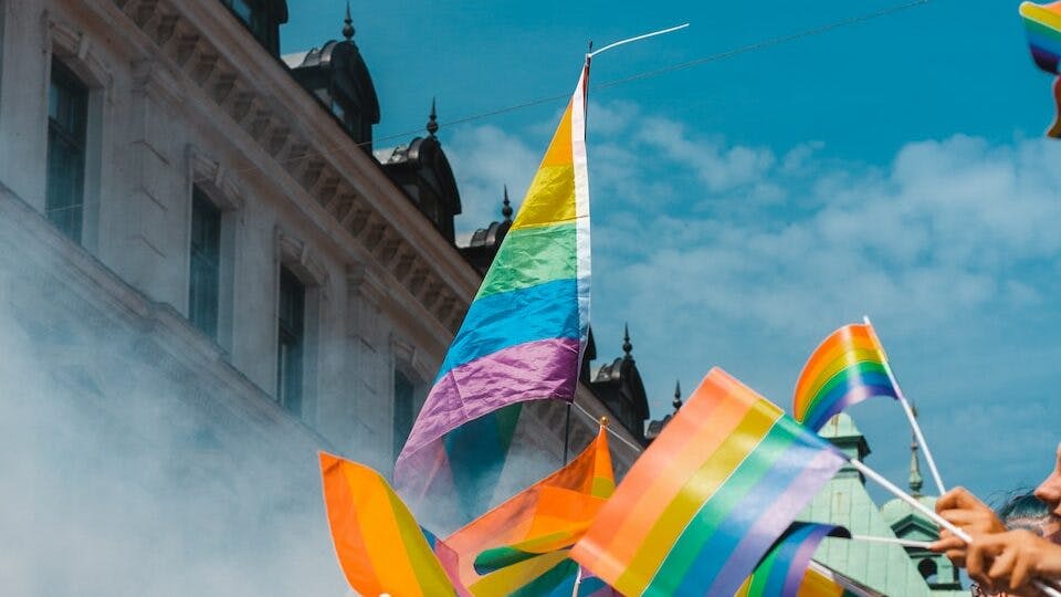 LGBT banner lot