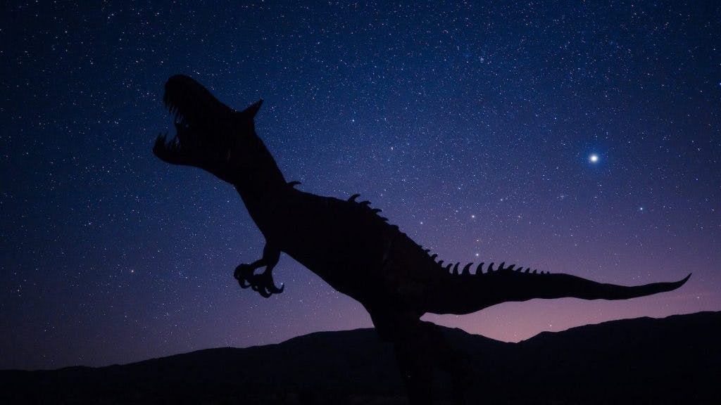 Silhouette Of Dinosaur on Night Sky