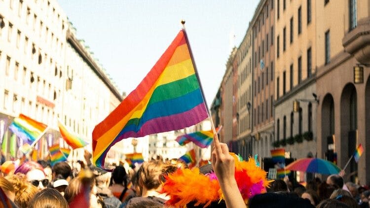 a crowd of people holding rainbow colored flags