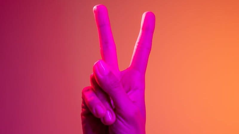 Person Doing Peace Sign Hand Gesture