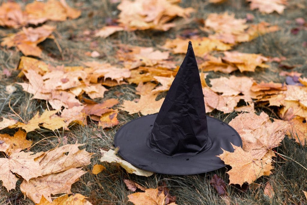 Black Witch Hat on Dried Leaves