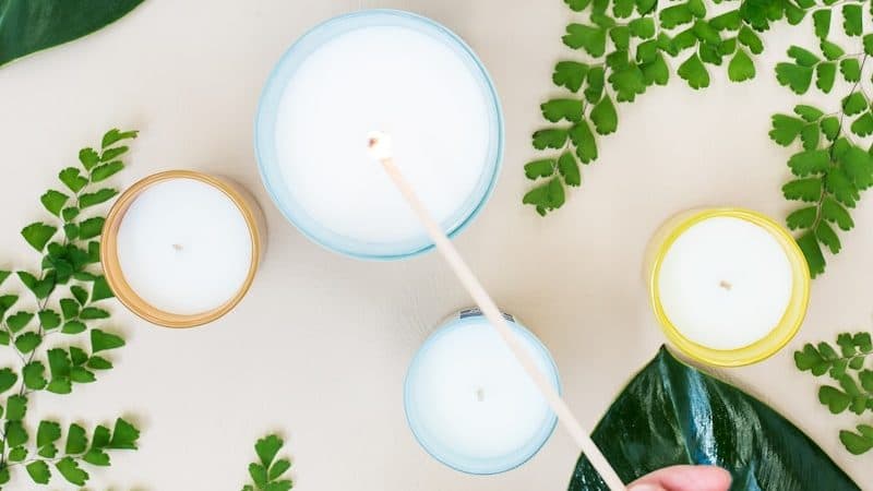 candles near green plants