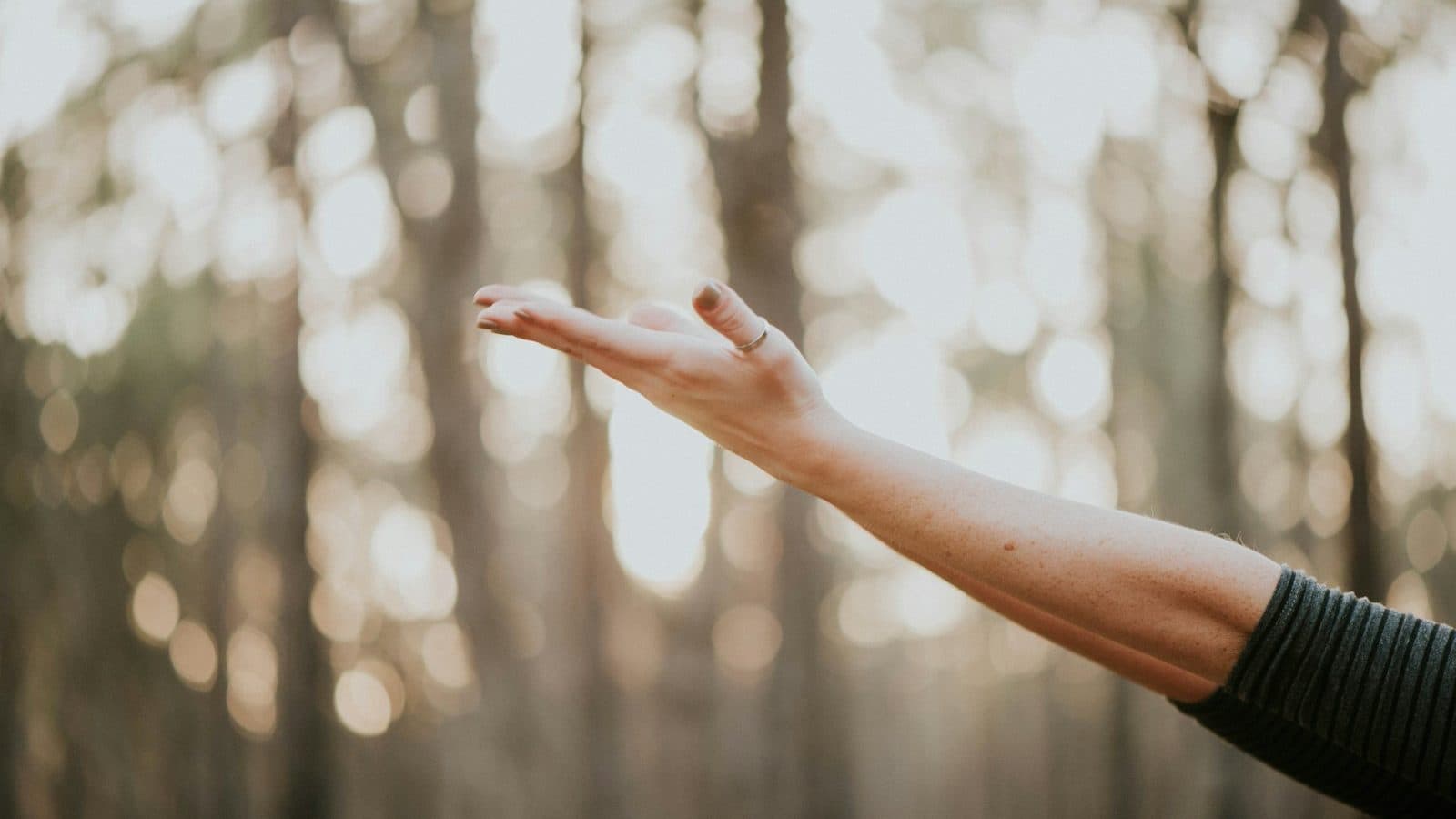 tilt shift lens photography of person lifting hand