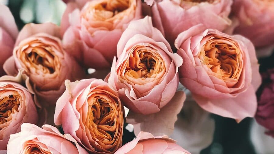 Pink Rose Flower Bouquet