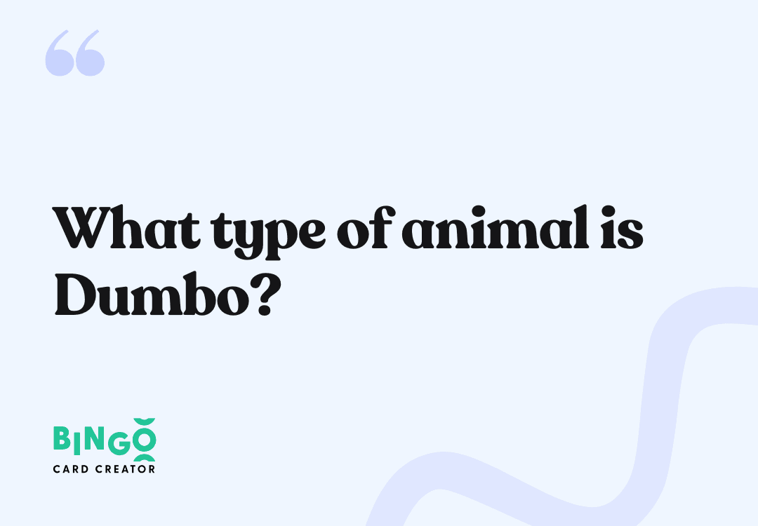 what type of animal is dumbo
