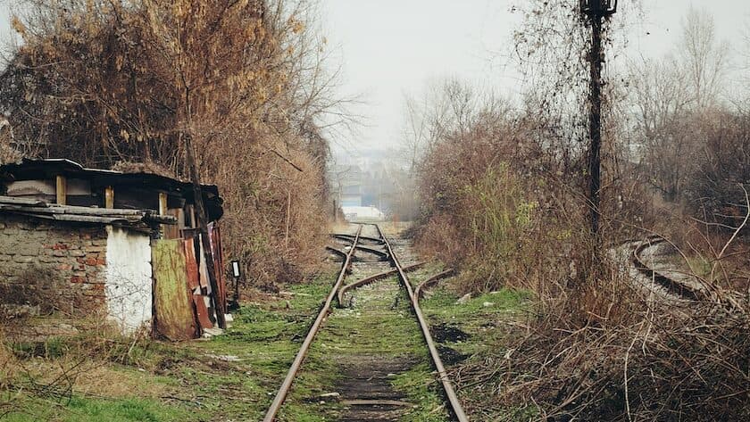 brown wooden house near bare trees during daytime
