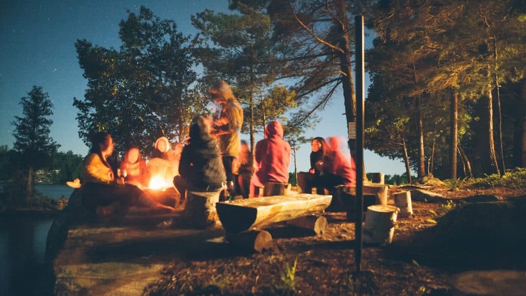 group of people near bonfire near trees during nighttime