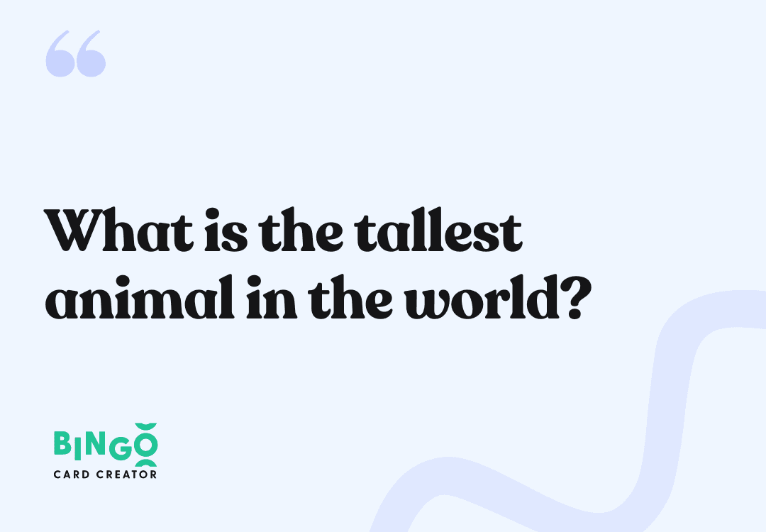 tallest animal