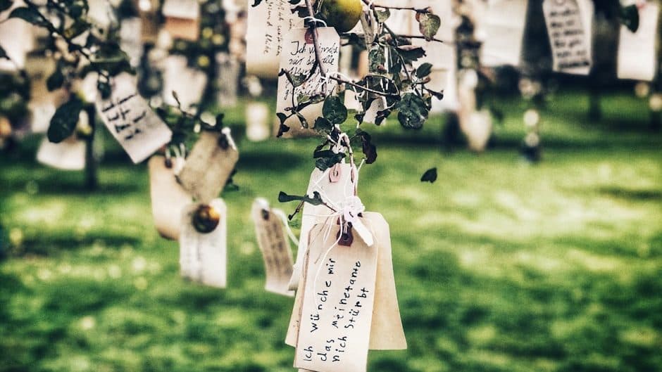 a bunch of tags hanging from a tree