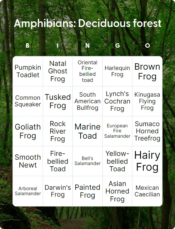 Amphibians: Deciduous forest bingo card