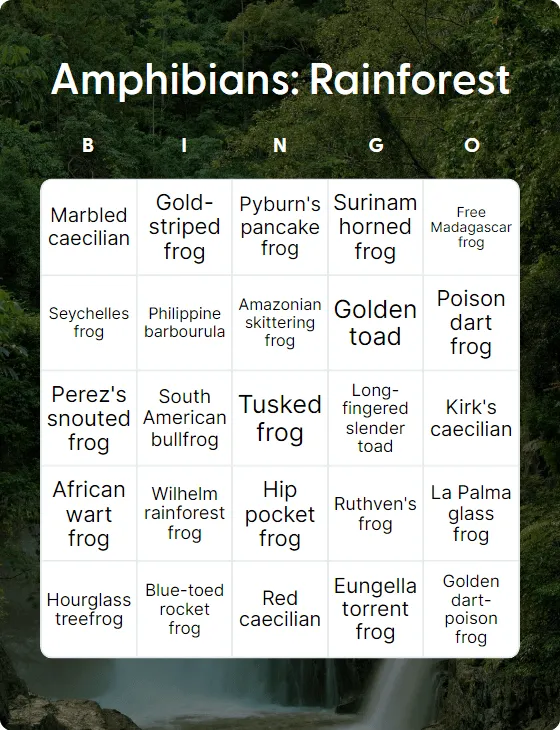 Amphibians: Rainforest bingo card
