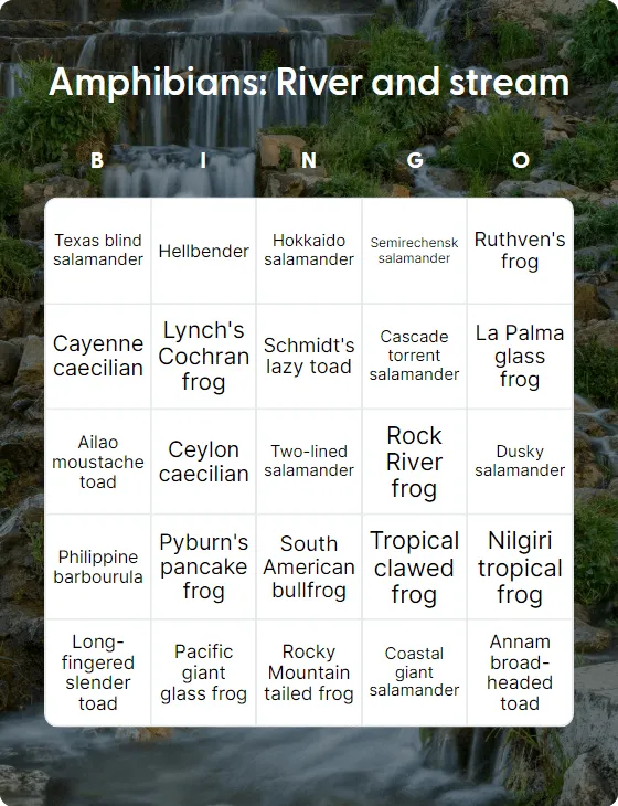 Amphibians: River and stream bingo card