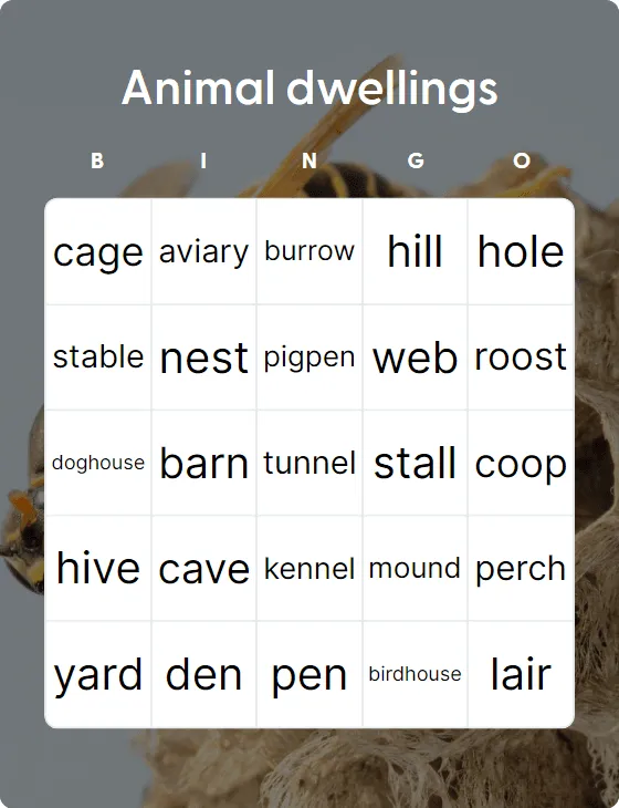 Animal dwellings bingo card