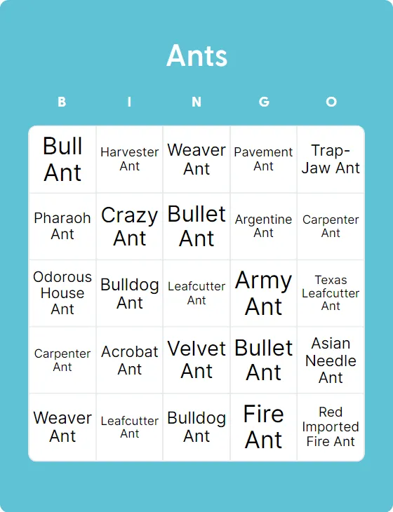 Ants bingo card