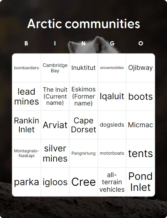 Arctic communities bingo card