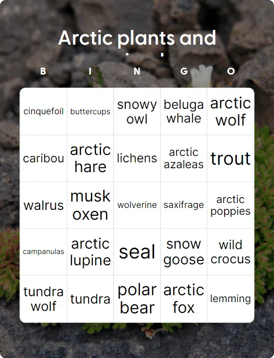 Arctic plants and animals bingo card