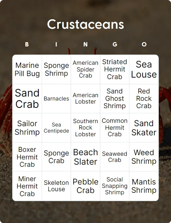 Crustaceans bingo card template