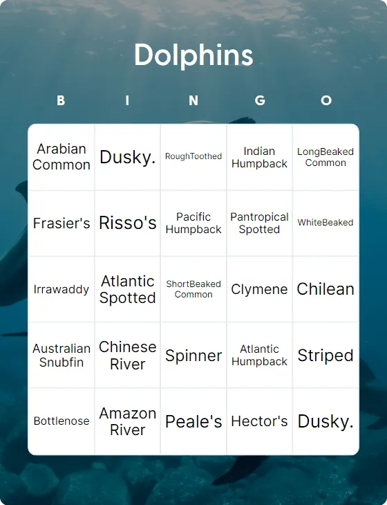 Dolphins bingo card template