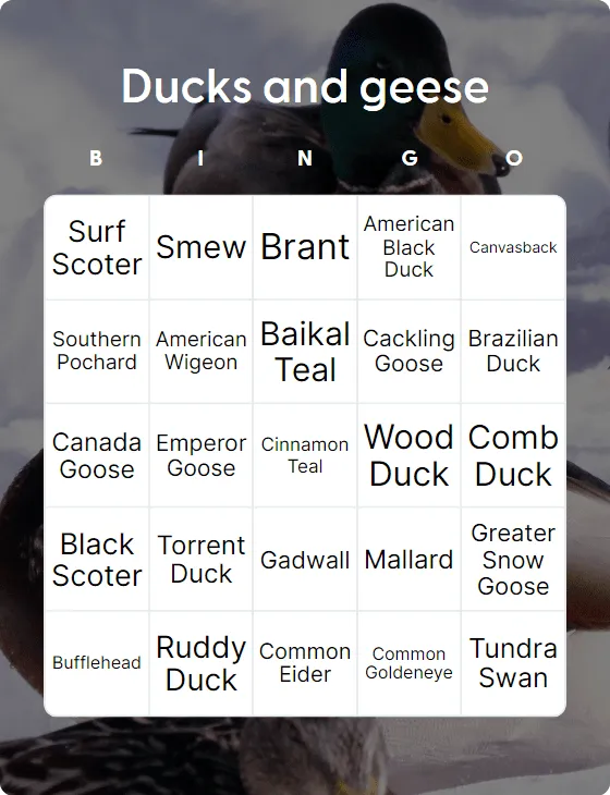 Ducks and geese  bingo card template
