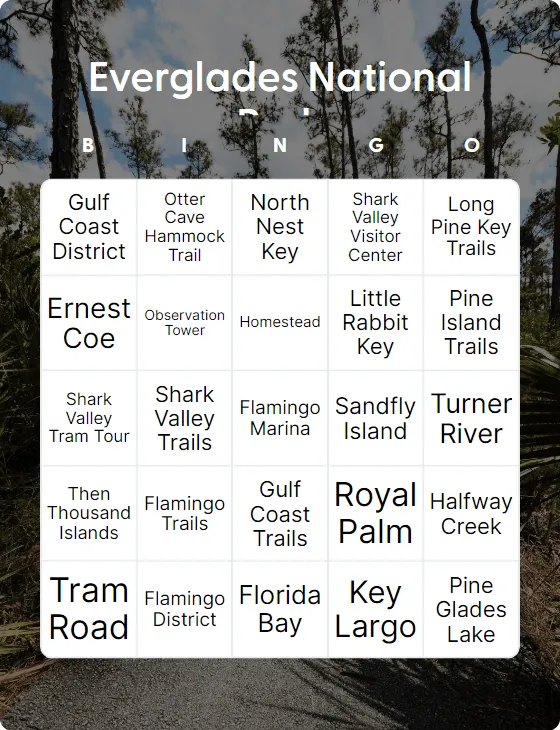 Everglades National Park bingo card