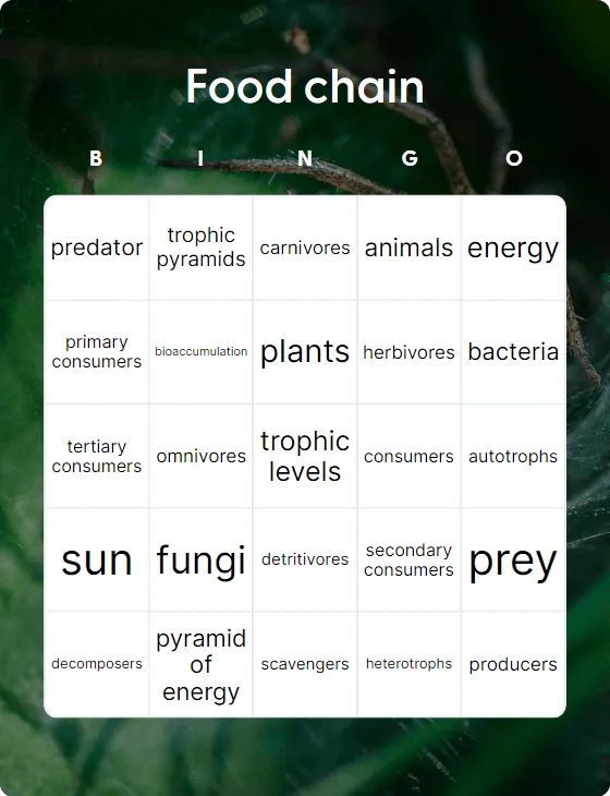 Food chain bingo card