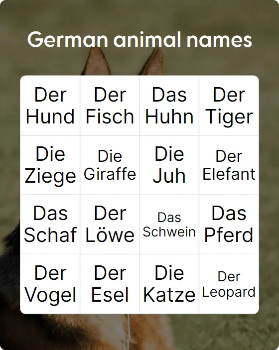 German animal names  bingo card template
