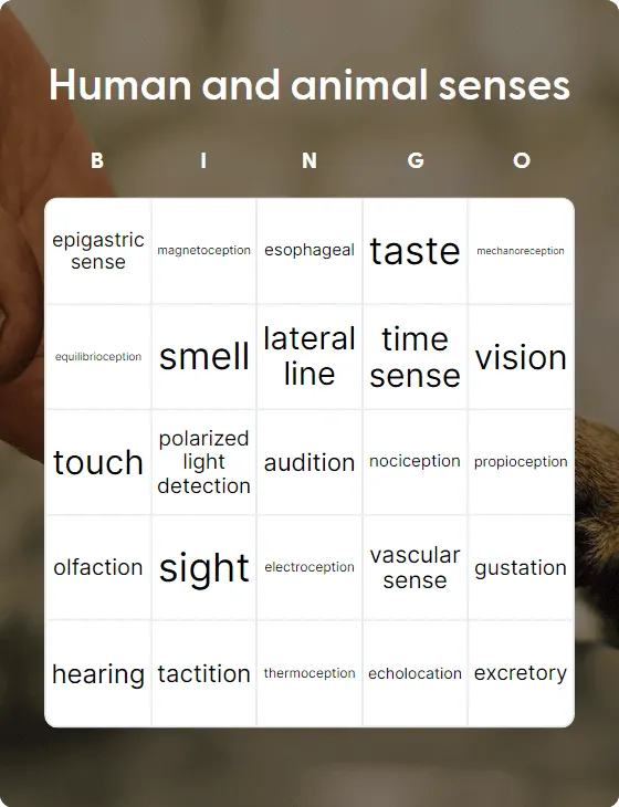 Human and animal senses bingo card template