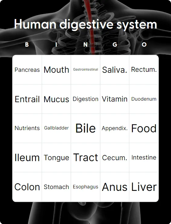 Human digestive system bingo card template