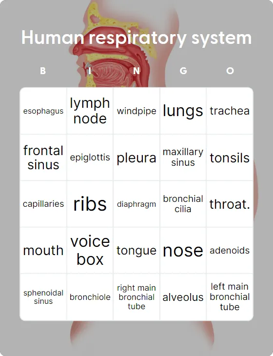 Human respiratory system bingo card template