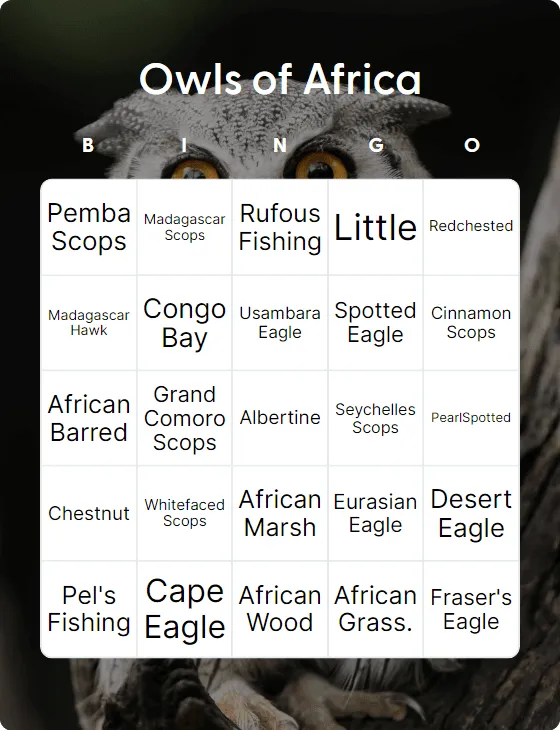 Owls of Africa  bingo card template