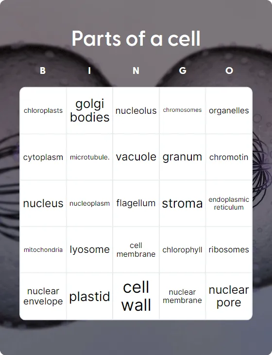 Parts of a cell bingo card template
