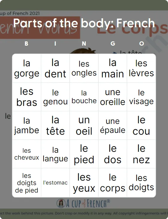 Parts of the body: French bingo card template