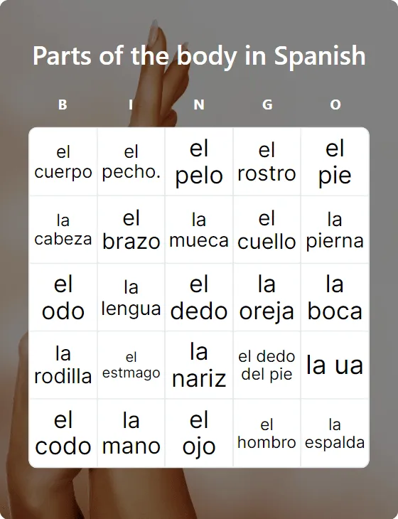 Parts of the body in Spanish bingo card