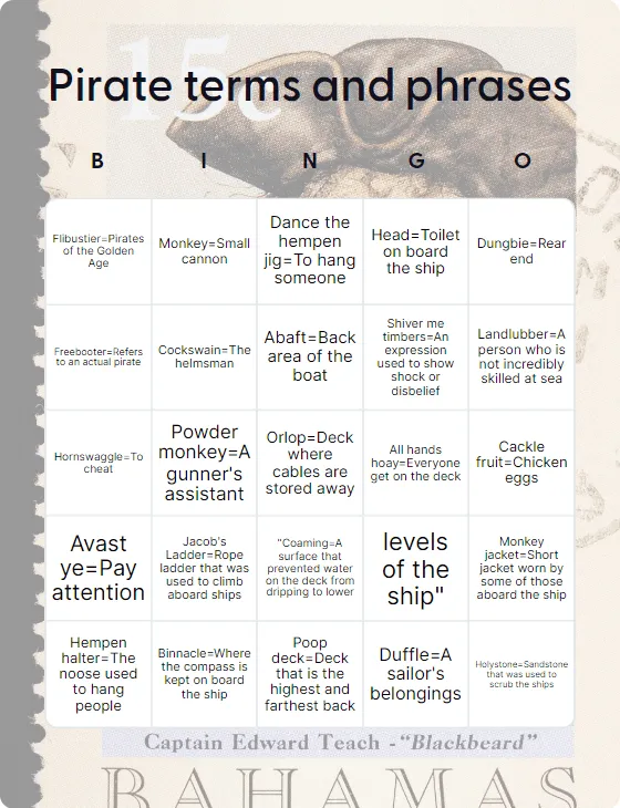 Pirate terms and phrases bingo card