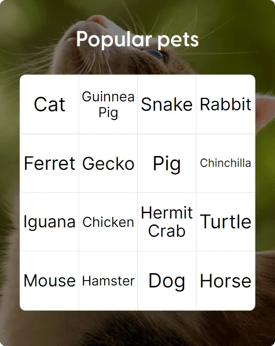 Popular pets bingo card