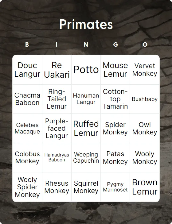 Primates bingo card