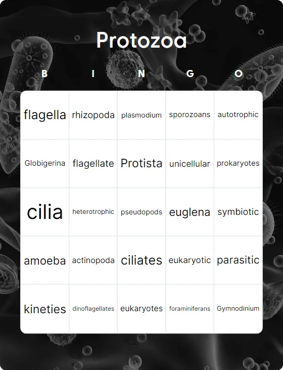 Protozoa bingo card