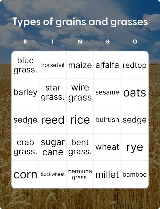 Types of grains and grasses bingo card