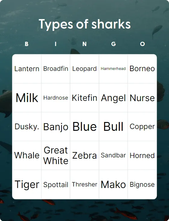 Types of sharks bingo card template