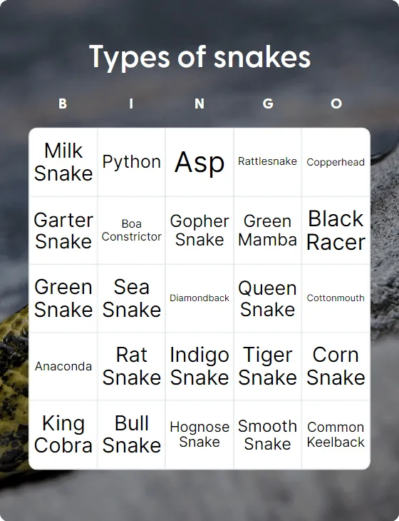 Types of snakes bingo card template