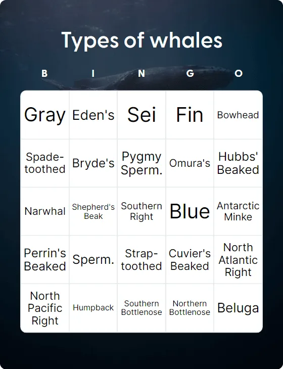 Types of whales bingo card template