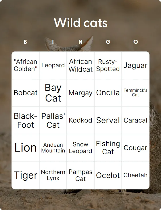Wild cats bingo card