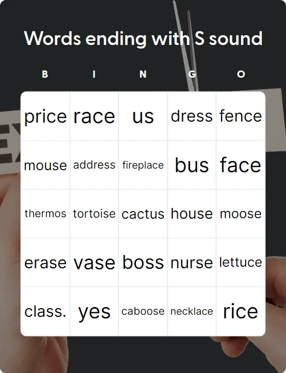 Words ending with S sound bingo card